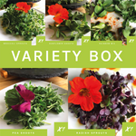 Variety Box